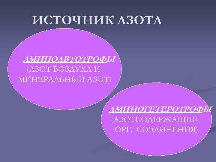 ИСТОЧНИК АЗОТА АМИНОАВТОТРОФЫ (АЗОТ ВОЗДУХА И МИНЕРАЛЬНЫЙ АЗОТ) АМИНОГЕТЕРОТРОФЫ (АЗОТСОДЕРЖАЩИЕ ОРГ. СОЕДИНЕНИЯ) 