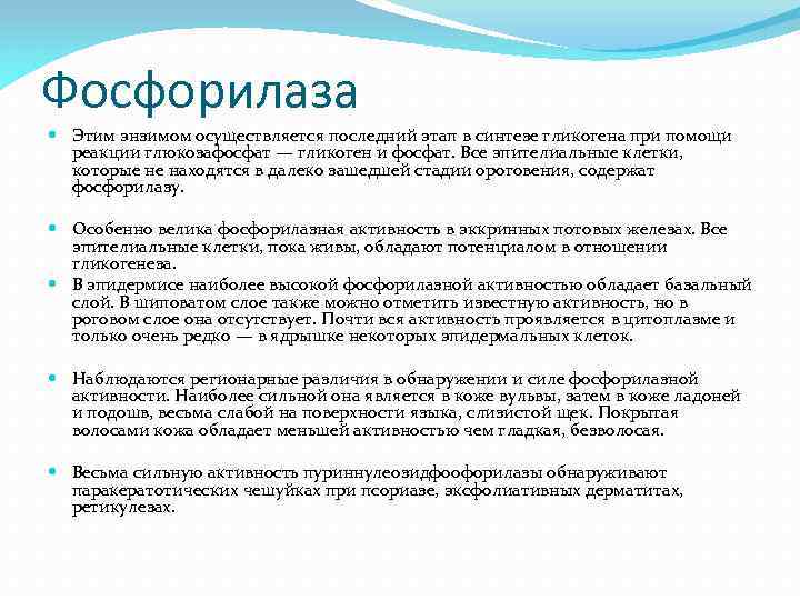 Фосфорилаза Этим энзимом осуществляется последний этап в синтезе гликогена при помощи реакции глюкозафосфат —