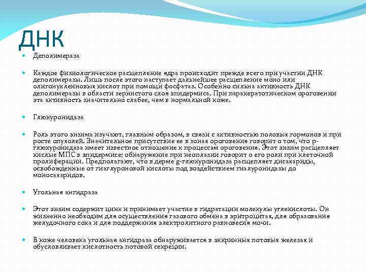 ДНК Деполимераза Каждое физиологическое расщепление ядра происходит прежде всего при участии ДНК деполимеразы. Лишь