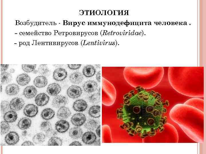 ЭТИОЛОГИЯ Возбудитель - Вирус иммунодефицита человека. - семейство Ретровирусов (Retroviridae). - род Лентивирусов (Lentivirus).