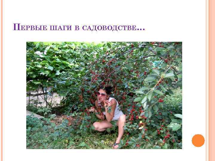ПЕРВЫЕ ШАГИ В САДОВОДСТВЕ… 