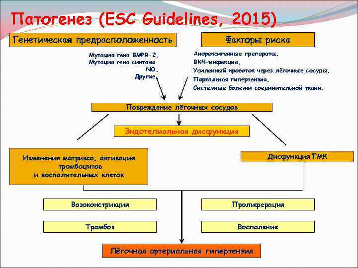 Патогенез (ESC Guidelines, 2015) Генетическая предрасположенность Мутация гена BMPR-2. Мутация гена синтазы NO. Другие.