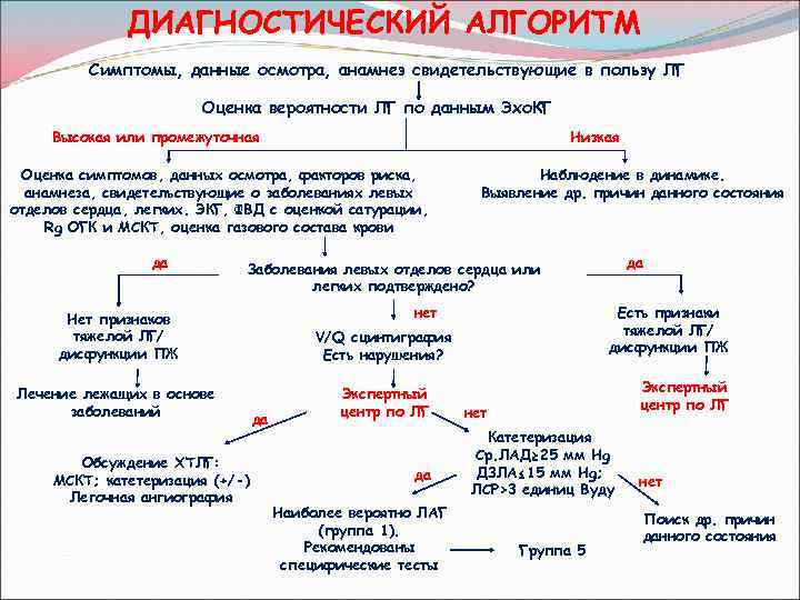 Алгоритм диагностики. Алгоритм диагностики гемобластозов. Признаки алгоритма. Лейкемоидная реакция алгоритм обследования пациента. Диагностический алгоритм при гемобластозов.