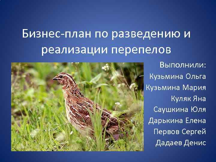 Бизнес-план по разведению и реализации перепелов Выполнили: Кузьмина Ольга Кузьмина Мария Куляк Яна Саушкина