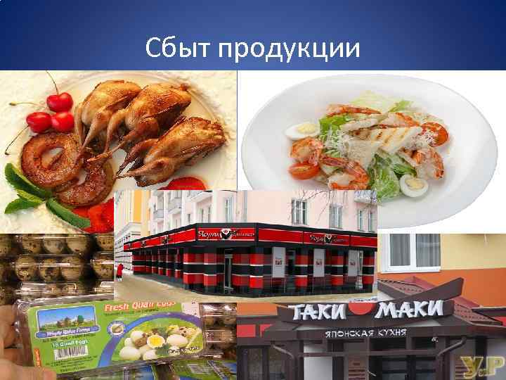 Сбыт продукции 