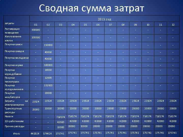 Сводная сумма затрат 2013 год затраты 01 02 03 04 05 06 07 08