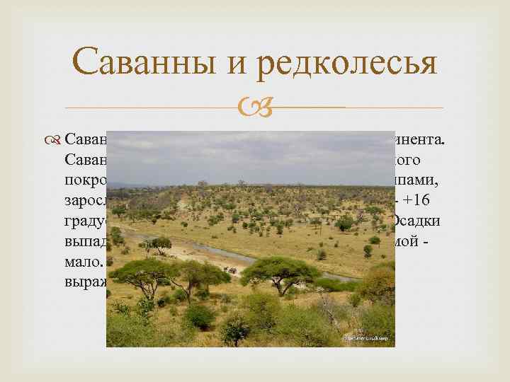 Особенности саванны и редколесья