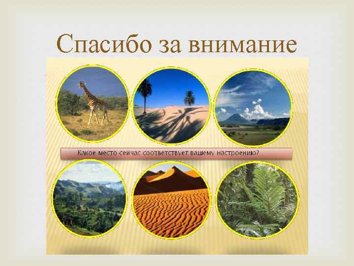 Спасибо за внимание 