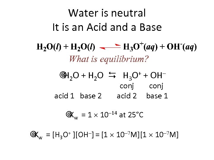 Water is neutral It is an Acid and a Base What is equilibrium? ¥