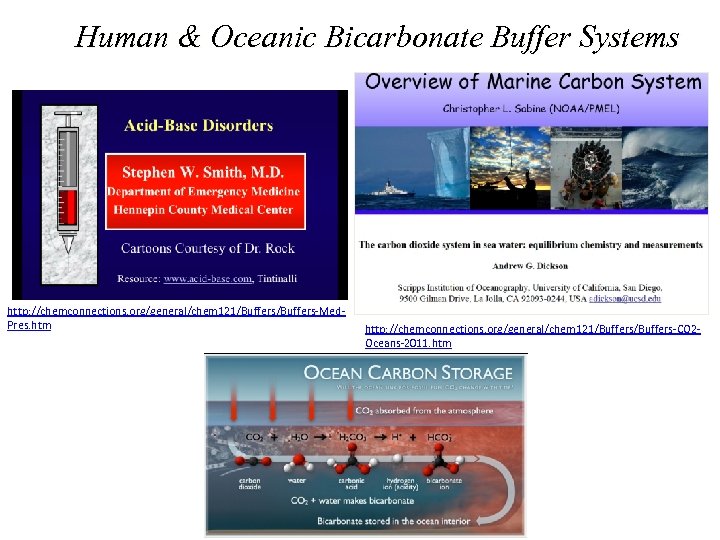 Human & Oceanic Bicarbonate Buffer Systems http: //chemconnections. org/general/chem 121/Buffers-Med. Pres. htm http: //chemconnections.