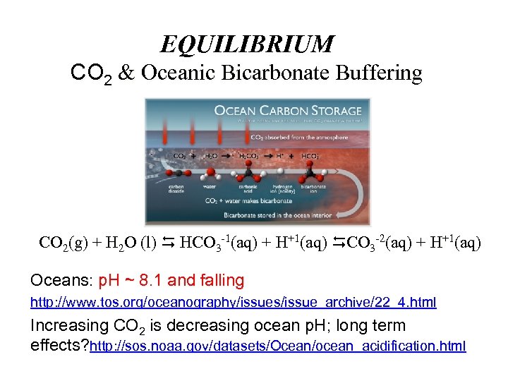 EQUILIBRIUM CO 2 & Oceanic Bicarbonate Buffering CO 2(g) + H 2 O (l)