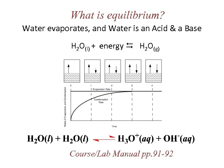 What is equilibrium? Water evaporates, and Water is an Acid & a Base H