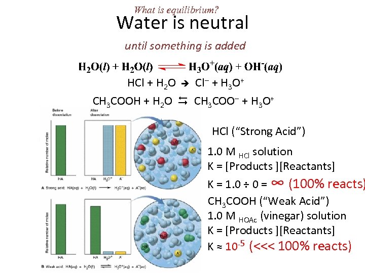 What is equilibrium? Water is neutral until something is added HCl + H 2