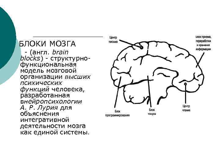 БЛОКИ МОЗГА - (англ. brain blocks) - структурнофункциональная модель мозговой организации высших психических функций