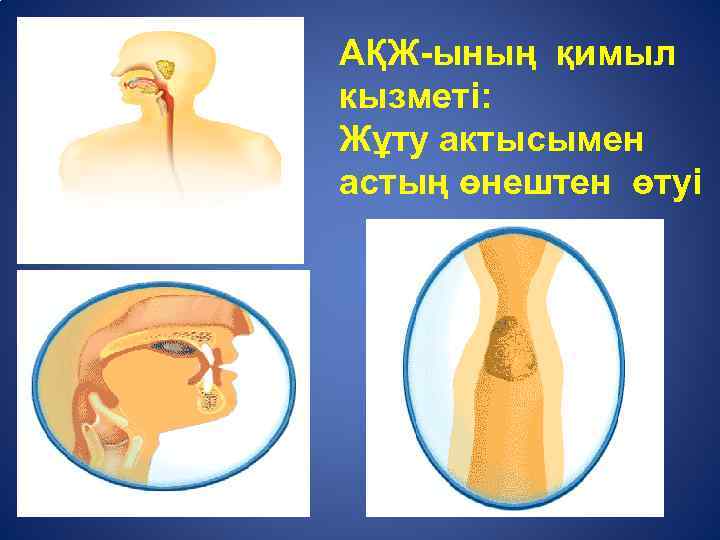 Ас қорыту жүйесінің патологиясы презентация