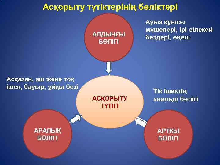 Ас қорыту жүйесінің патологиясы презентация