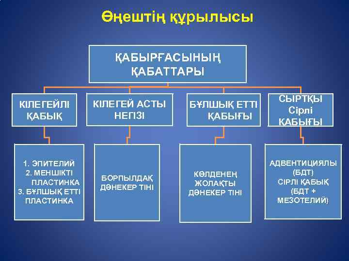 Автомобиль құрылысы кітап