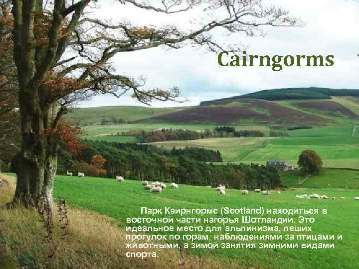 Cairngorms Парк Каирнгормс (Scotland) находиться в восточной части нагорья Шотландии. Это идеальное место для