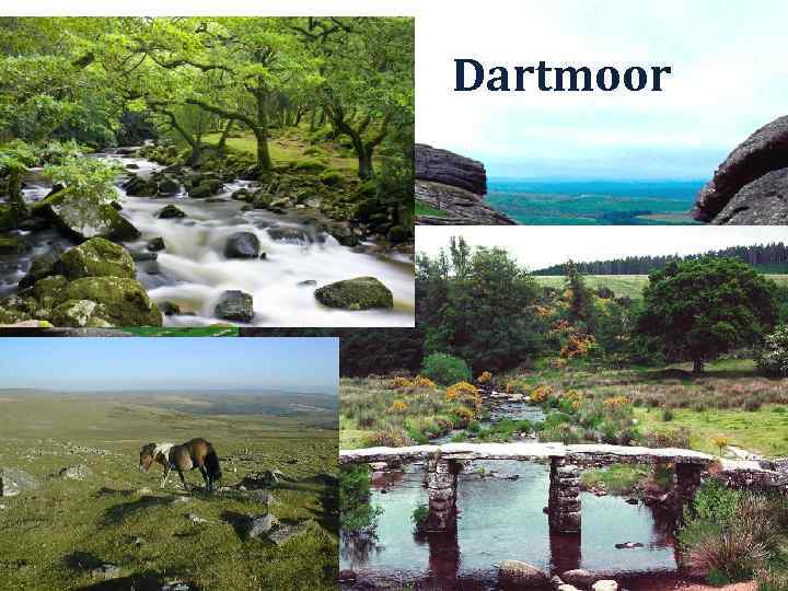 Dartmoor 