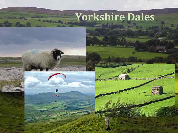 Yorkshire Dales 