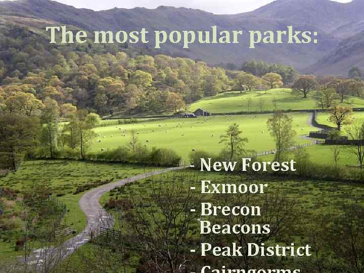 The most popular parks: - New Forest - Exmoor - Brecon Beacons - Peak