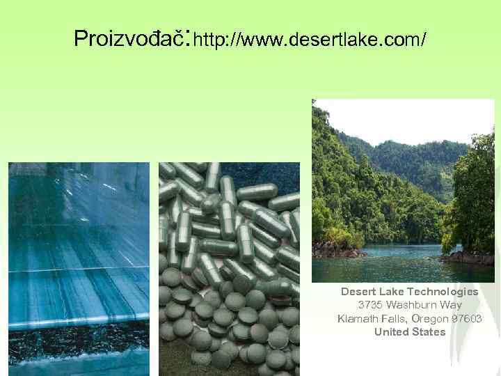 Proizvođač: http: //www. desertlake. com/ Desert Lake Technologies 3735 Washburn Way Klamath Falls, Oregon