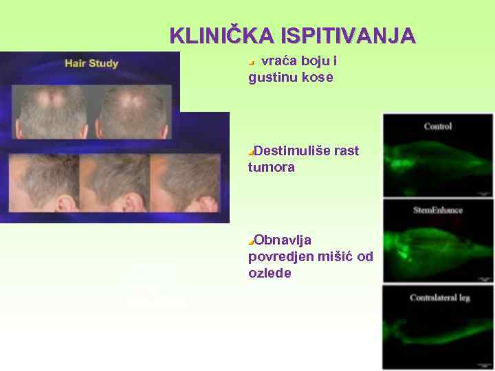 KLINIČKA ISPITIVANJA vraća boju i gustinu kose Destimuliše rast tumora Vraćanje Mišić u OZLJEDE
