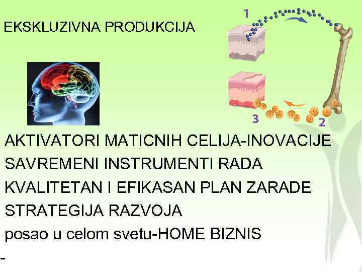 EKSKLUZIVNA PRODUKCIJA AKTIVATORI MATICNIH CELIJA-INOVACIJE SAVREMENI INSTRUMENTI RADA KVALITETAN I EFIKASAN PLAN ZARADE STRATEGIJA