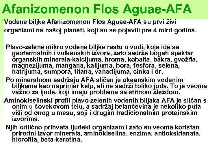 Afanizomenon Flos Aguae-AFA Vodene biljke Afanizomenon Flos Aguae-AFA su prvi živi organizmi na našoj