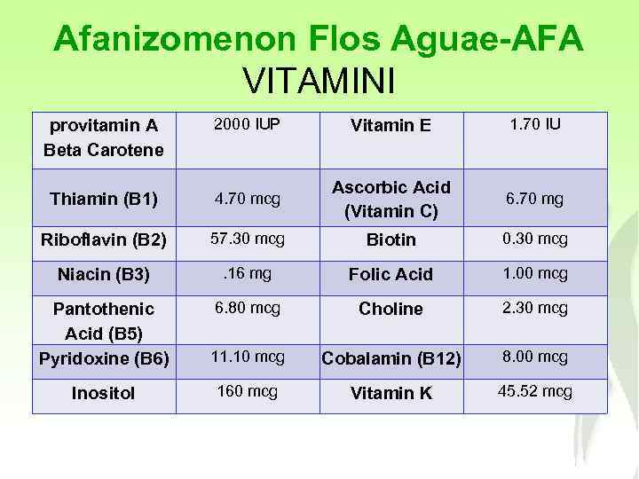 Afanizomenon Flos Aguae-AFA VITAMINI provitamin A Beta Carotene 2000 IUP Vitamin E 1. 70