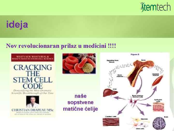 ideja Nov revolucionaran prilaz u medicini !!!! naše sopstvene matične ćelije 