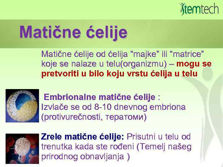 Matične ćelije od ćelija “majke” ili “matrice” koje se nalaze u telu(organizmu) – mogu