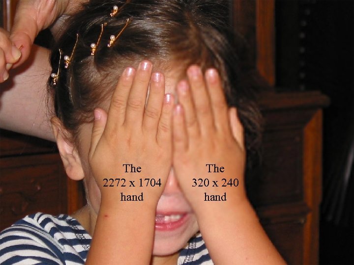 The 2272 x 1704 hand CSci 5221: The 320 x 240 hand Multimedia 8