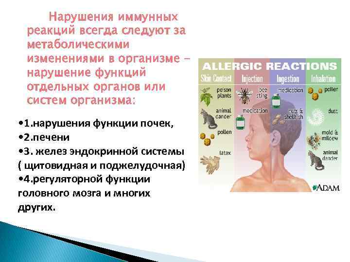 Нарушения иммунных реакций всегда следуют за метаболическими изменениями в организме нарушение функций отдельных органов