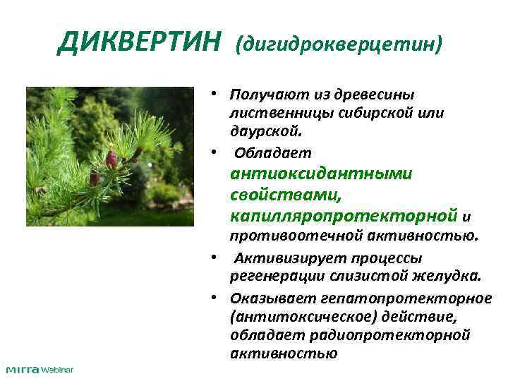 ДИКВЕРТИН (дигидрокверцетин) • Получают из древесины лиственницы сибирской или даурской. • Обладает антиоксидантными свойствами,