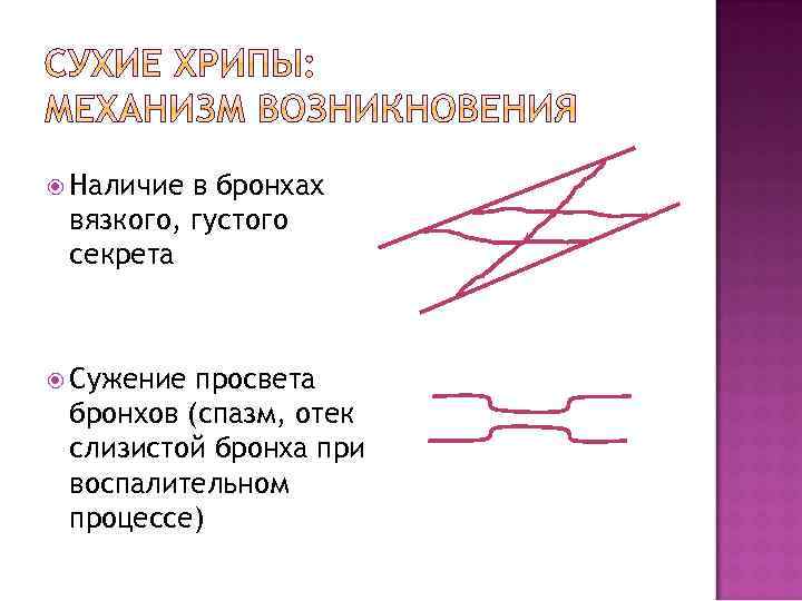  Наличие в бронхах вязкого, густого секрета Сужение просвета бронхов (спазм, отек слизистой бронха