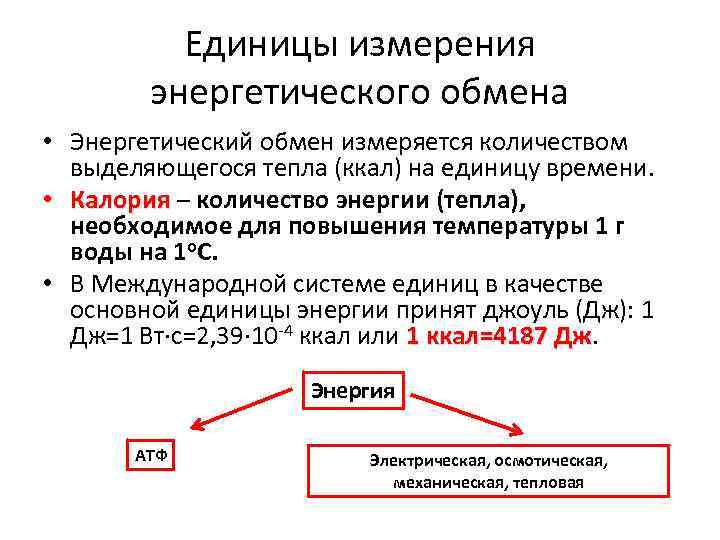 Единицы измерения энергетического обмена • Энергетический обмен измеряется количеством выделяющегося тепла (ккал) на единицу