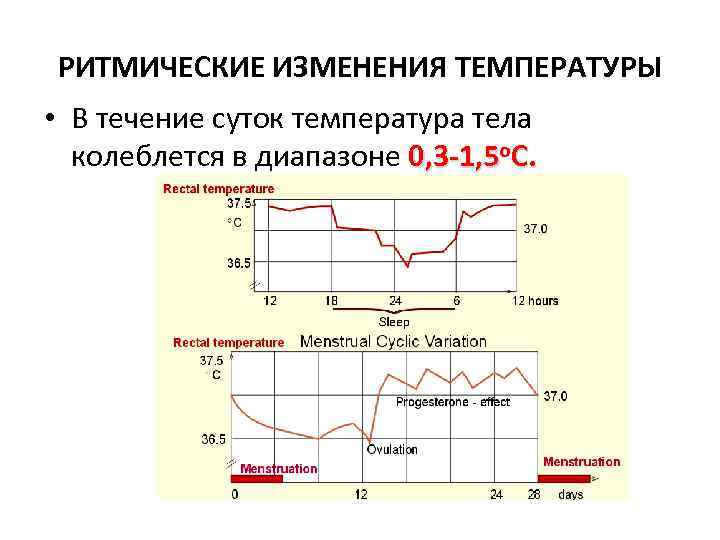 Изменение температуры в течение суток