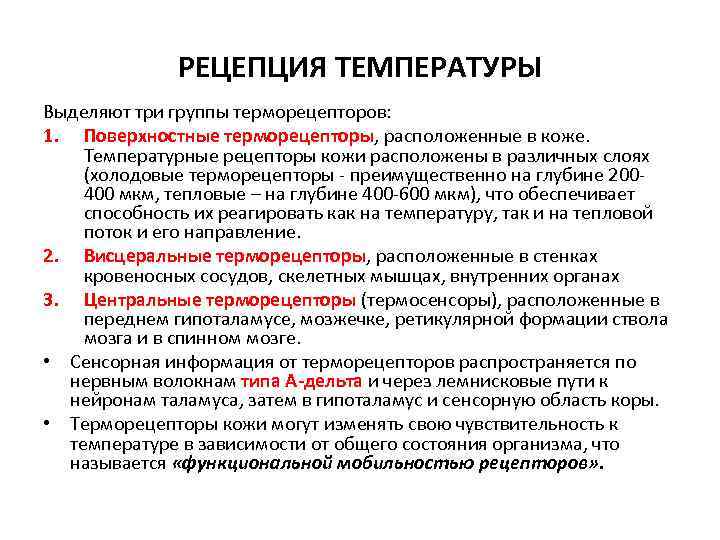 РЕЦЕПЦИЯ ТЕМПЕРАТУРЫ Выделяют три группы терморецепторов: 1. Поверхностные терморецепторы, расположенные в коже. Температурные рецепторы