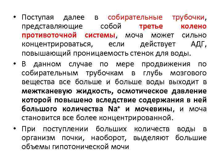  • Поступая далее в собирательные трубочки, представляющие собой третье колено противоточной системы, моча