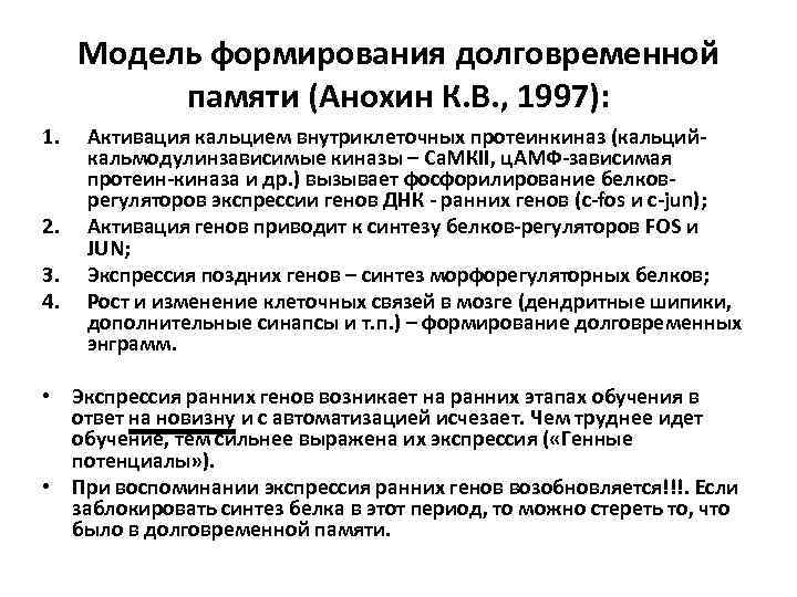 Модель формирования долговременной памяти (Анохин К. В. , 1997): 1. 2. 3. 4. Активация