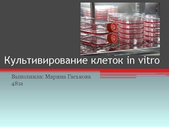 Культивирование клеток in vitro Выполнила: Марина Гаськова 481 а 