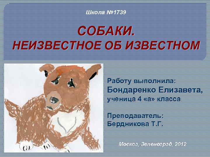 Школа № 1739 СОБАКИ. НЕИЗВЕСТНОЕ ОБ ИЗВЕСТНОМ Работу выполнила: Бондаренко Елизавета, ученица 4 «а»
