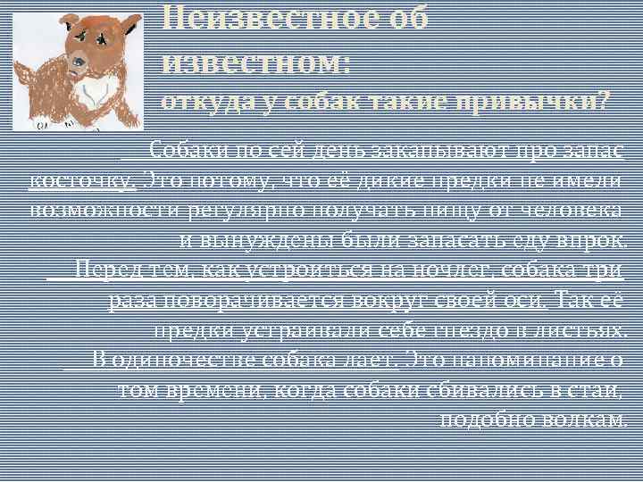 Неизвестное об известном: откуда у собак такие привычки? Собаки по сей день закапывают про