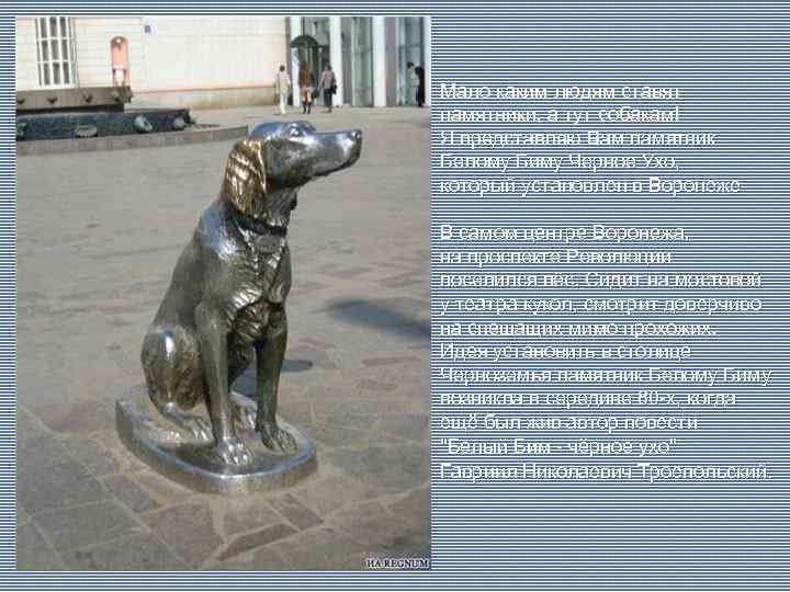 Мало каким людям ставят памятники, а тут собакам! Я представляю Вам памятник Белому Биму