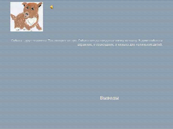 Собака – друг человека. Так говорят не зря. Собака всегда предана своему хозяину. В