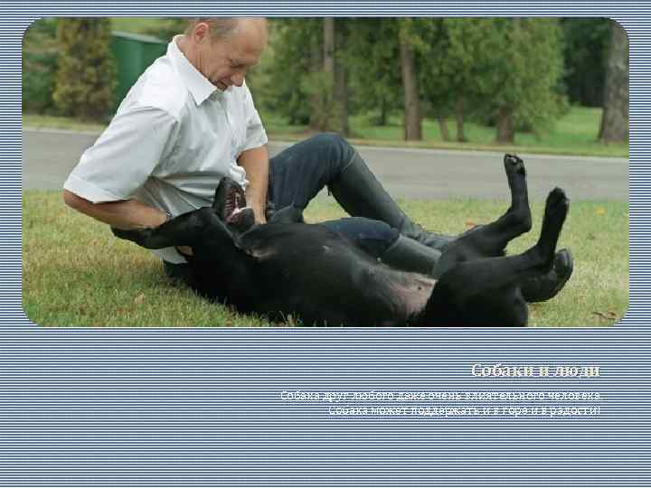 Собаки и люди Собака друг любого даже очень влиятельного человека. Собака может поддержать и