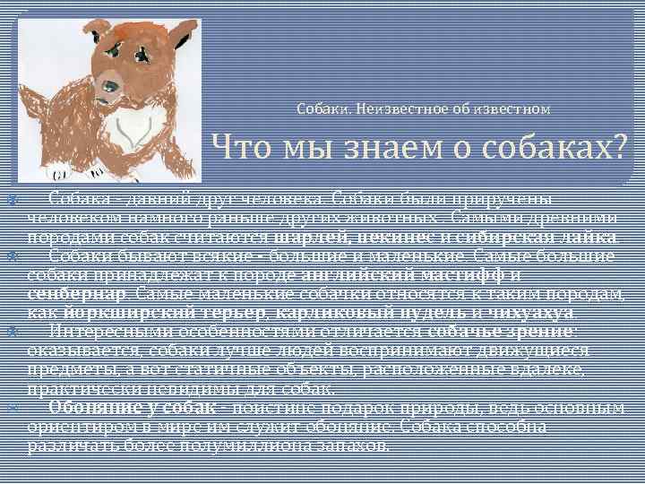 Собаки. Неизвестное об известном Что мы знаем о собаках? Собака - давний друг человека.