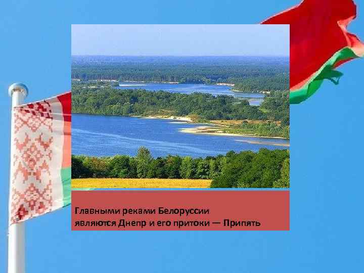 Главными реками Белоруссии являются Днепр и его притоки — Припять 