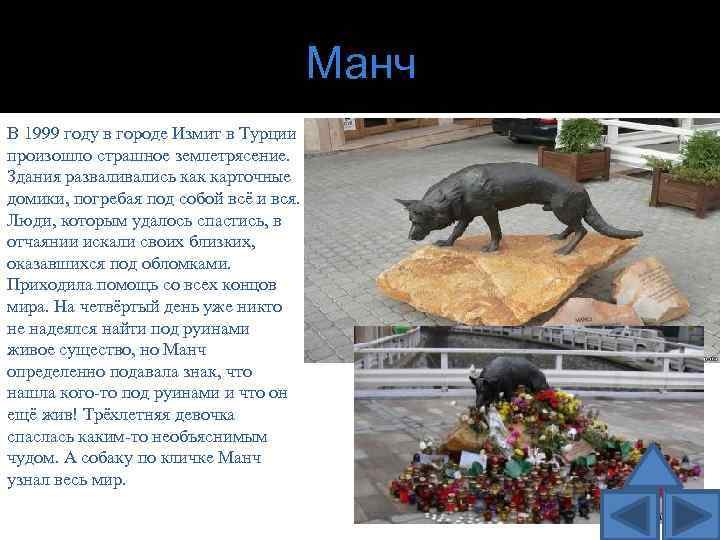 Манч В 1999 году в городе Измит в Турции произошло страшное землетрясение. Здания развались